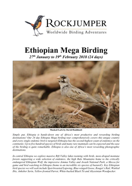 Ethiopian Mega Birding 27Th January to 19Th February 2018 (24 Days)