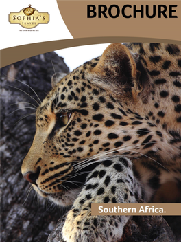 To Download Our Brochure of Africa