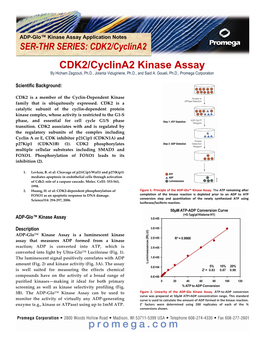 CDK2/Cyclina2 Kinase Assay by Hicham Zegzouti, Ph.D., Jolanta Vidugiriene, Ph.D., and Said A