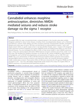 Cannabidiol Enhances Morphine Antinociception, Diminishes NMDA