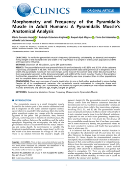 A Pyramidalis Muscle’S Anatomical Analysis