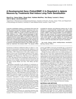 (Tolloid/BMP-1) Is Regulated in Aplysia Neurons by Treatments That Induce Long-Term Sensitization