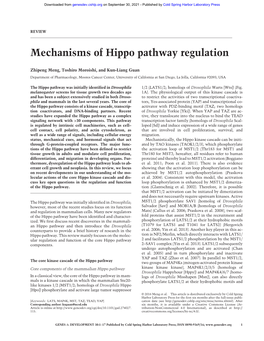Mechanisms of Hippo Pathway Regulation