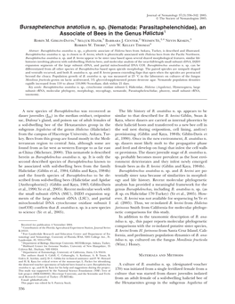 Bursaphelenchus Anatolius N. Sp. (Nematoda: Parasitaphelenchidae), an Associate of Bees in the Genus Halictus1 Robin M