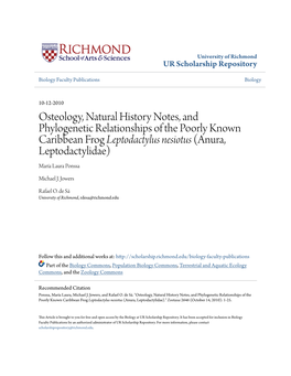 Osteology, Natural History Notes, and Phylogenetic Relationships of the Poorly Known Caribbean Frog Leptodactylus Nesiotus (Anura, Leptodactylidae) María Laura Ponssa