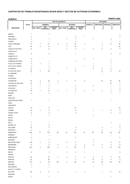 Huesca Enero 2006 Tipo De Contrato Sectores
