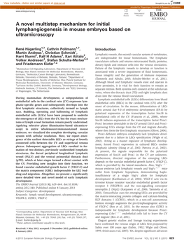 A Novel Multistep Mechanism for Initial Lymphangiogenesis in Mouse Embryos Based on Ultramicroscopy