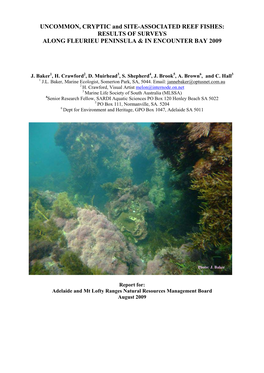 UNCOMMON, CRYPTIC and SITE-ASSOCIATED REEF FISHES: RESULTS of SURVEYS ALONG FLEURIEU PENINSULA & in ENCOUNTER BAY 2009