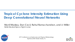 Tropical Cyclone Intensity Estimation Using Deep Convolutional Neural Networks