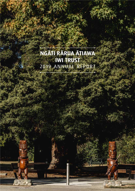 Ngāti Rārua Ātiawa Iwi Trust