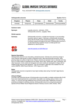 Schizoporella Unicornis Global Invasive Species Database (GISD)