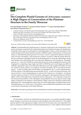 The Complete Plastid Genome of Artocarpus Camansi: a High Degree of Conservation of the Plastome Structure in the Family Moraceae