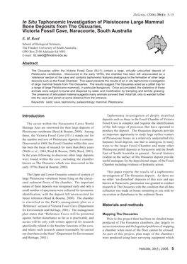 In Situ Taphonomic Investigation of Pleistocene Large Mammal Bone Deposits from the Ossuaries, Victoria Fossil Cave, Naracoorte, South Australia E