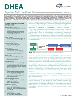 DHEA Important Facts You Should Know by Cristiana Paul, MS
