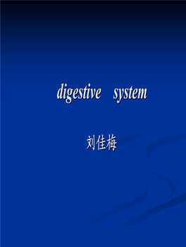 消 化 管（Digestive Duct）