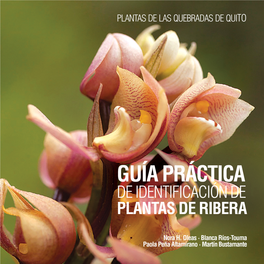 Plantas De Las Quebradas De Quito: Guía Práctica De Identificación De Plantas De Ribera