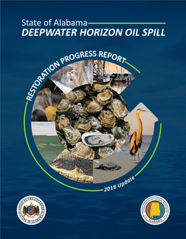 Deepwater Horizon Oil Spill