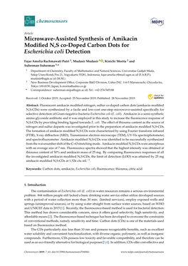 Microwave-Assisted Synthesis of Amikacin Modified N,S Co-Doped