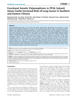 Functional Genetic Polymorphisms in PP2A Subunit Genes Confer Increased Risks of Lung Cancer in Southern and Eastern Chinese