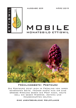 MOBILE März 2019(Download, 4,9