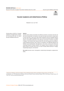 Vascular Neoplasms and Related Lesions of Kidney