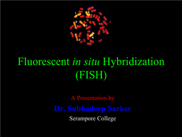 Fluorescent in Situ Hybridization (FISH)