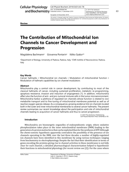 The Contribution of Mitochondrial Ion Channels to Cancer Development and Progression