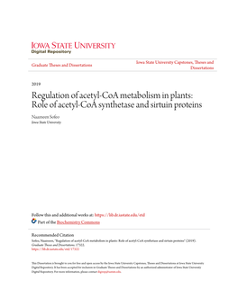 Role of Acetyl-Coa Synthetase and Sirtuin Proteins Naazneen Sofeo Iowa State University