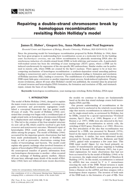 Repairing a Double-Strand Chromosome Break by Homologous Recombination: Revisiting Robin Holliday’S Model