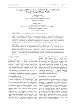 F. Rubio & E. Rolân Novapex 18(1-2): 17-34, IO Juin 2017 New Species Of