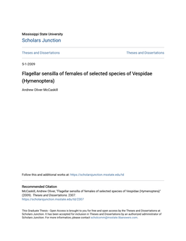 Flagellar Sensilla of Females of Selected Species of Vespidae (Hymenoptera)