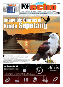 Download Ipoh Echo Issue