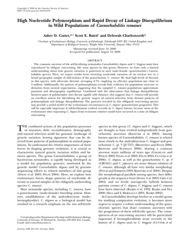 High Nucleotide Polymorphism and Rapid Decay of Linkage Disequilibrium in Wild Populations of Caenorhabditis Remanei