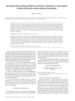 Diptera, Muscidae, Mydaeinae): Redescriptioncouri of Male and Female and Description of Terminalia