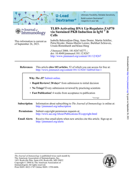 Cells B+ Via Sustained PKB Induction in Igm TLR9-Activating DNA Up