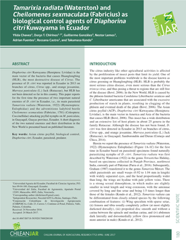 (Fabricius) As Biological Control Agents of Diaphorina Citri Kuwayama