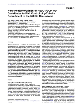 Nek9 Phosphorylation of NEDD1/GCP-WD Contributes to Plk1 Control of Γ-Tubulin Recruitment to the Mitotic Centrosome