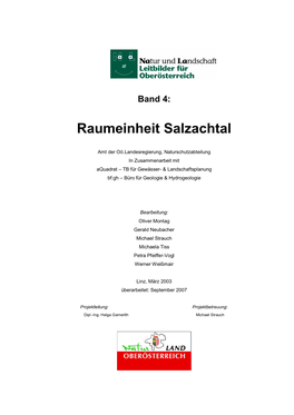 Raumeinheit Salzachtal