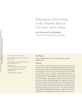 Information Processing in the Primate Retina: Circuitry and Coding