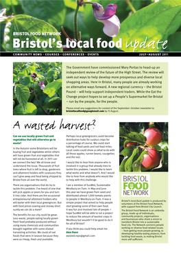 Bristol's Local Food Update: July
