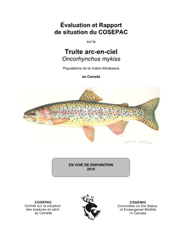 Truite Arc-En-Ciel,Oncorhynchus Mykiss