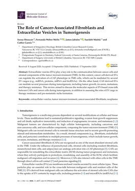 The Role of Cancer-Associated Fibroblasts and Extracellular Vesicles in Tumorigenesis