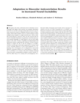 Adaptation to Binocular Anticorrelation Results in Increased Neural Excitability