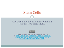 10B. Stem Cells