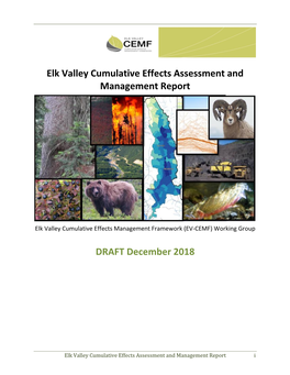 Elk Valley Cumulative Effects Assessment and Management Report