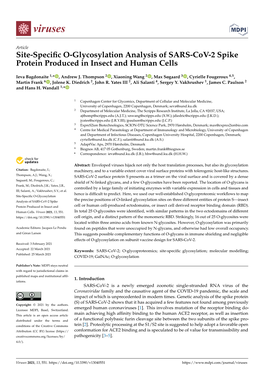 Site-Specific O-Glycosylation Analysis of SARS-Cov-2 Spike Protein