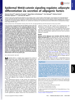 Epidermal Wnt/Β-Catenin Signaling Regulates Adipocyte Differentiation