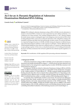 An I for an A: Dynamic Regulation of Adenosine Deamination-Mediated RNA Editing