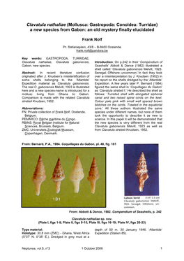 Clavatula Nathaliae (Mollusca: Gastropoda: Conoidea: Turridae) a New Species from Gabon: an Old Mystery Finally Elucidated