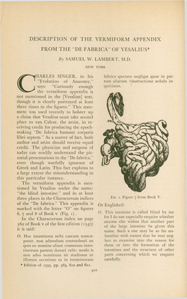 Description of the Vermiform Appendix from the “De Fabrica” of Vesalius*